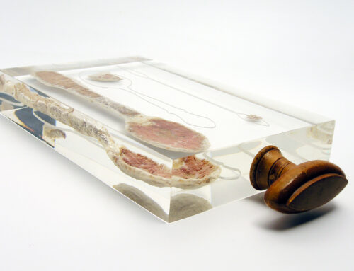 Drawer’s Delight 4